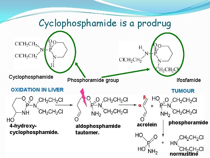 Cyclophosphamide is a prodrug Cyclophosphamide Phosphoramide group Ifosfamide OXIDATION IN LIVER TUMOUR b a