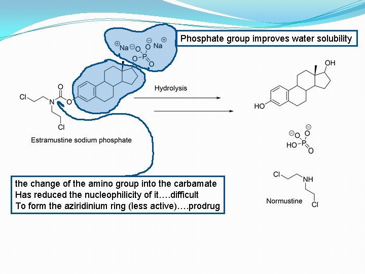 Phosphate group improves water solubility the change of the amino group into the carbamate