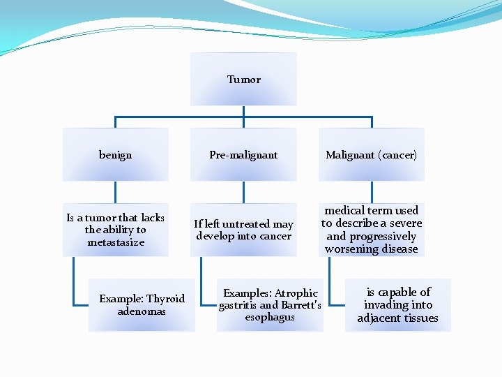 Tumor benign Is a tumor that lacks the ability to metastasize Example: Thyroid adenomas