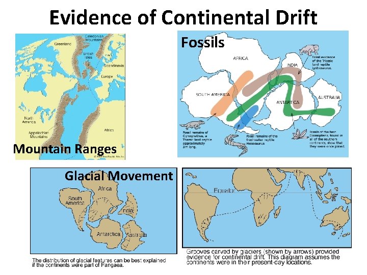 Evidence of Continental Drift Fossils Mountain Ranges Glacial Movement 