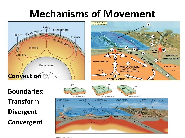 Mechanisms of Movement Convection Boundaries: Transform Divergent Convergent 