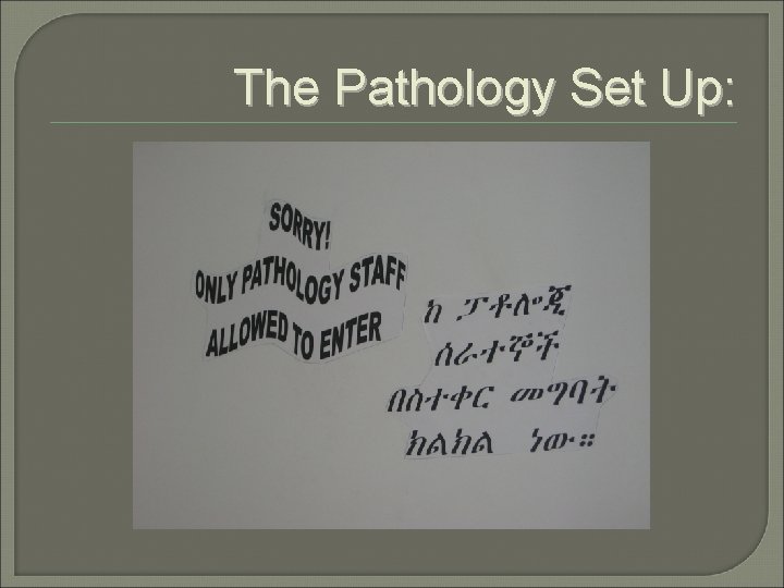 The Pathology Set Up: 