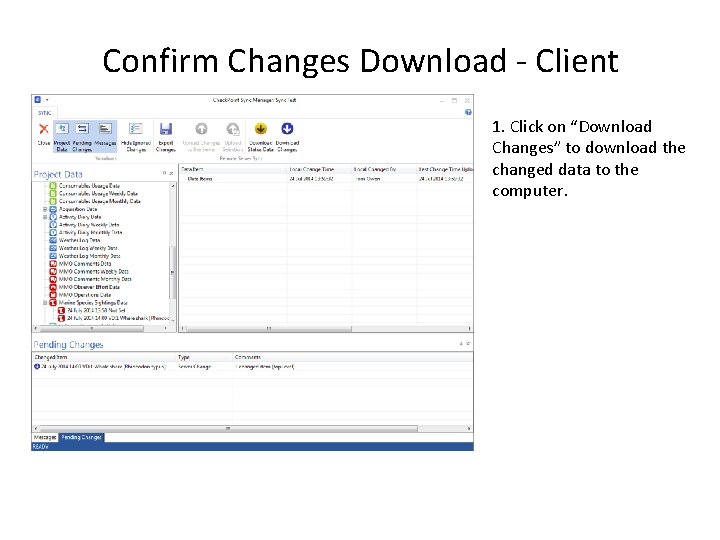 Confirm Changes Download - Client 1. Click on “Download Changes” to download the changed