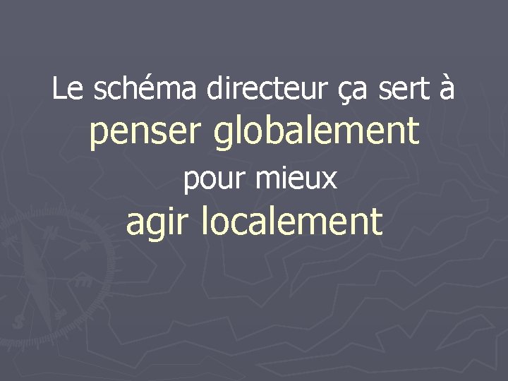 Le schéma directeur ça sert à penser globalement pour mieux agir localement 