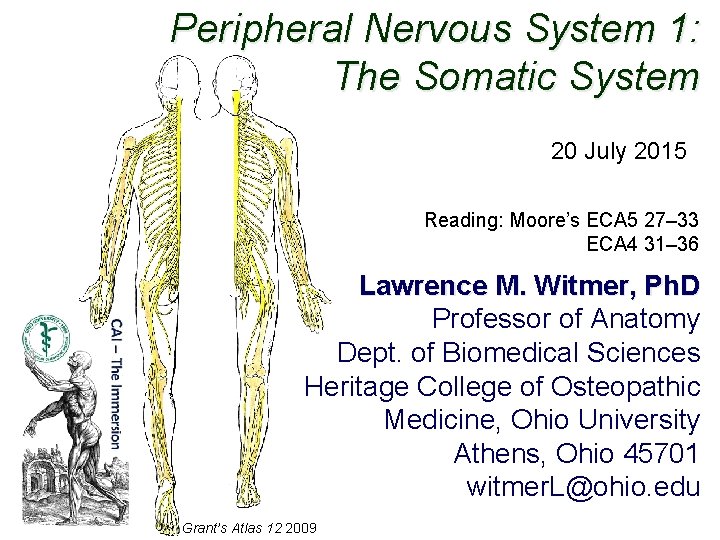 Peripheral Nervous System 1: The Somatic System 20 July 2015 Reading: Moore’s ECA 5