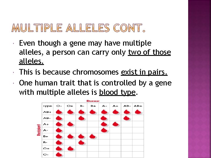  Even though a gene may have multiple alleles, a person carry only two