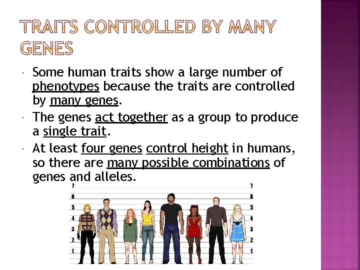  Some human traits show a large number of phenotypes because the traits are