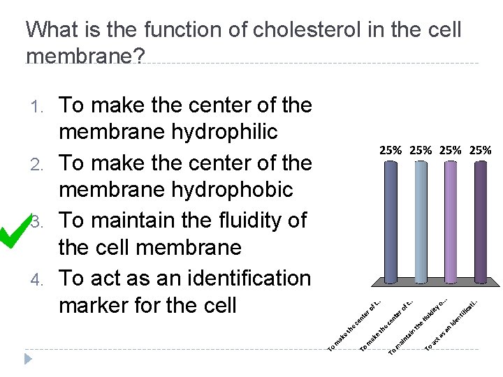 What is the function of cholesterol in the cell membrane? 1. 2. 3. 4.