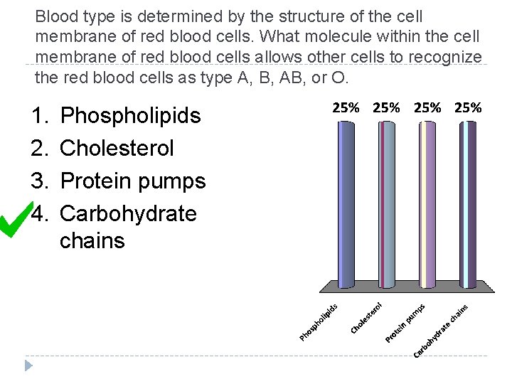 Blood type is determined by the structure of the cell membrane of red blood