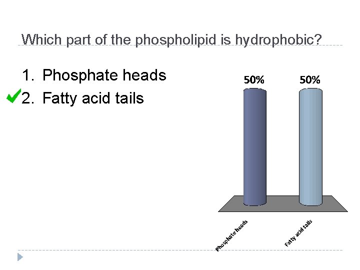 Which part of the phospholipid is hydrophobic? 1. Phosphate heads 2. Fatty acid tails