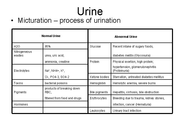 Urine • Micturation – process of urination Normal Urine Abnormal Urine H 2 O