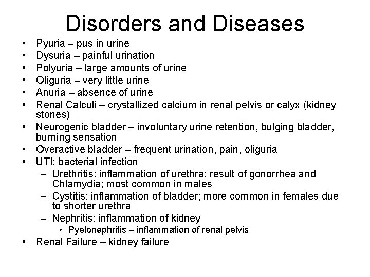 Disorders and Diseases • • • Pyuria – pus in urine Dysuria – painful