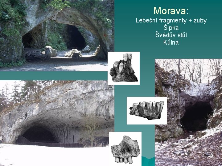 Morava: Lebeční fragmenty + zuby Šipka Švédův stůl Kůlna 