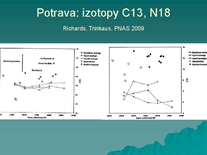 Potrava: izotopy C 13, N 18 Richards, Trinkaus, PNAS 2009 