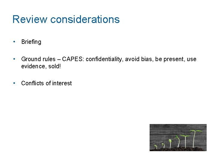 Review considerations • Briefing • Ground rules – CAPES: confidentiality, avoid bias, be present,