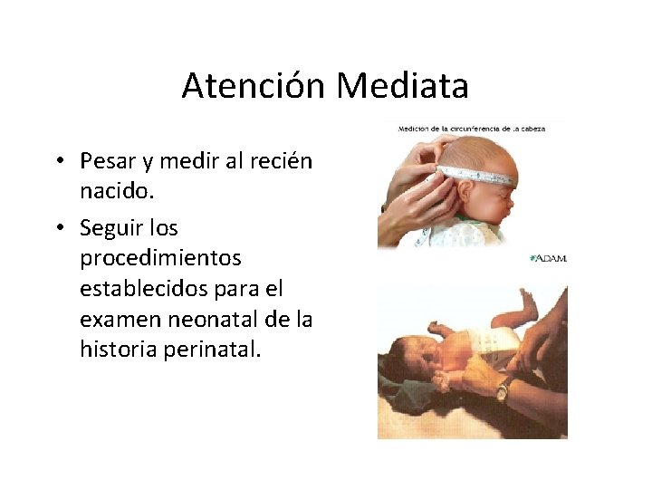Atención Mediata • Pesar y medir al recién nacido. • Seguir los procedimientos establecidos