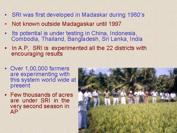  • SRI was first developed in Madaskar during 1980’s • Not known outside