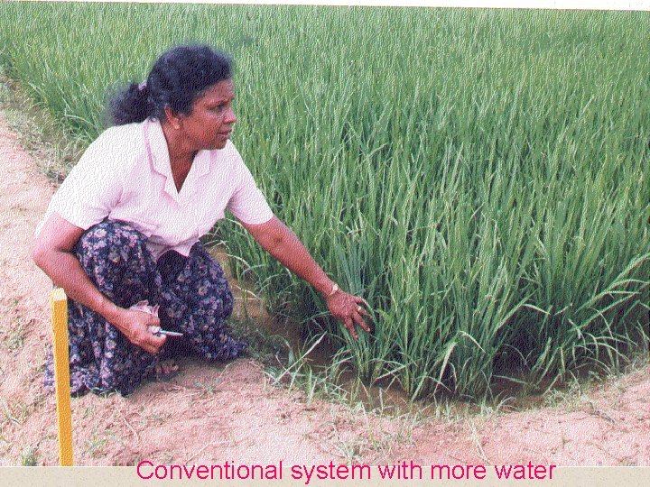 Conventional system with more water 