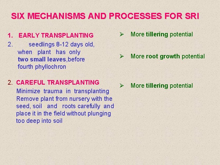 SIX MECHANISMS AND PROCESSES FOR SRI 1. EARLY TRANSPLANTING 2. seedlings 8 -12 days