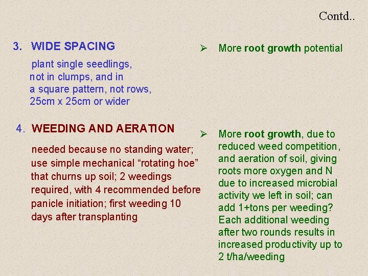 Contd. . 3. WIDE SPACING Ø More root growth potential plant single seedlings, not