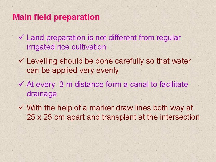 Main field preparation ü Land preparation is not different from regular irrigated rice cultivation