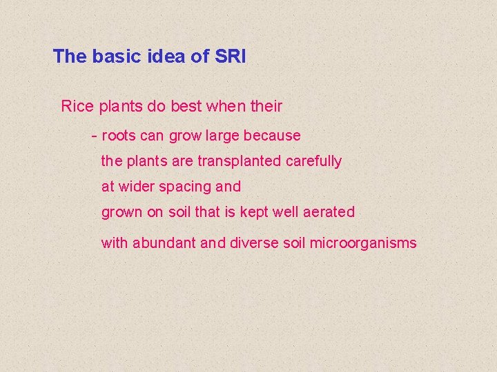 The basic idea of SRI Rice plants do best when their - roots can