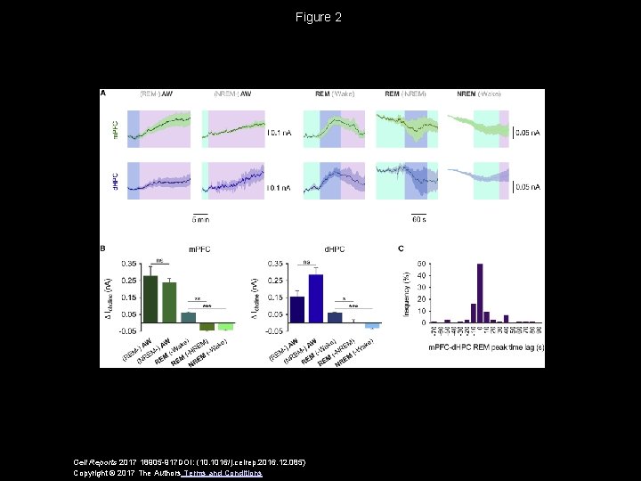 Figure 2 Cell Reports 2017 18905 -917 DOI: (10. 1016/j. celrep. 2016. 12. 085)