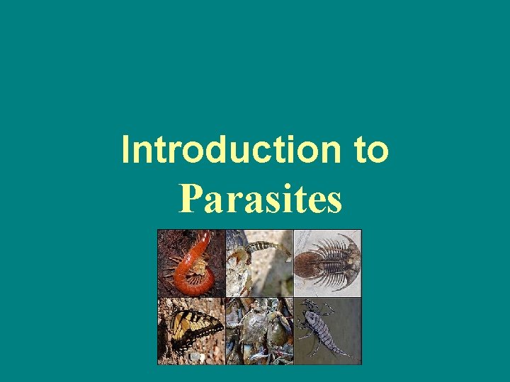 Introduction to Parasites 