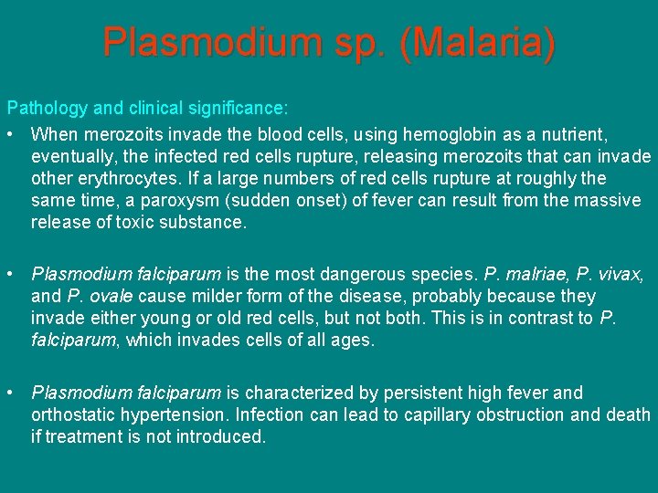 Plasmodium sp. (Malaria) Pathology and clinical significance: • When merozoits invade the blood cells,