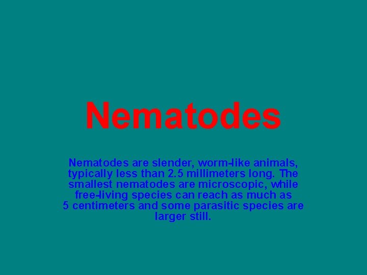 Nematodes are slender, worm-like animals, typically less than 2. 5 millimeters long. The smallest