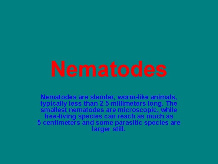 Nematodes are slender, worm-like animals, typically less than 2. 5 millimeters long. The smallest