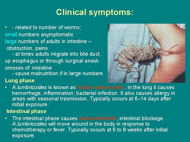 Clinical symptoms: • - related to number of worms; small numbers asymptomatic large numbers