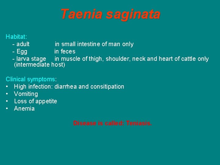 Taenia saginata Habitat: - adult in small intestine of man only - Egg in