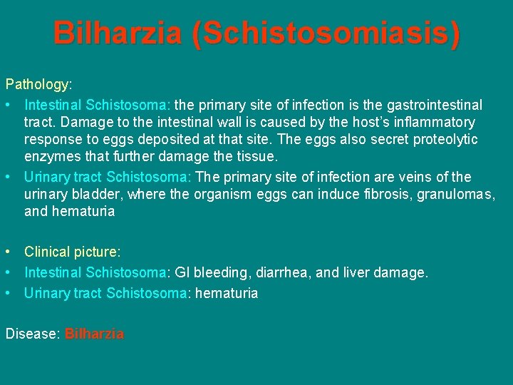 Bilharzia (Schistosomiasis) Pathology: • Intestinal Schistosoma: the primary site of infection is the gastrointestinal