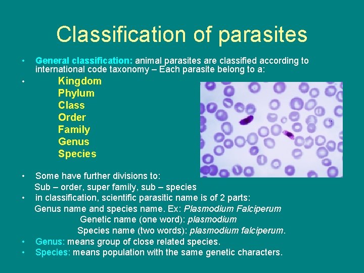 Classification of parasites • General classification: animal parasites are classified according to international code