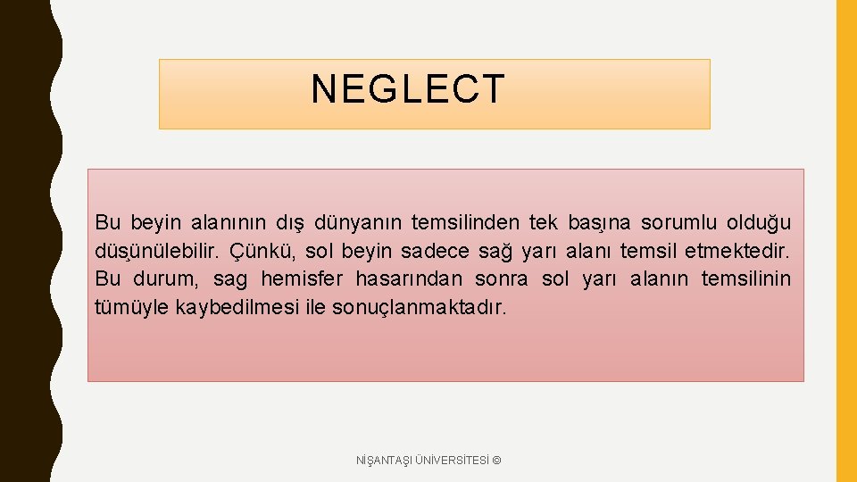 NEGLECT Bu beyin alanının dış dünyanın temsilinden tek bas ına sorumlu olduğu düs ünülebilir.