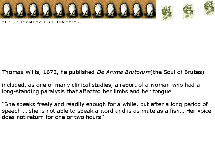 T H E N E U R O M U S C U L