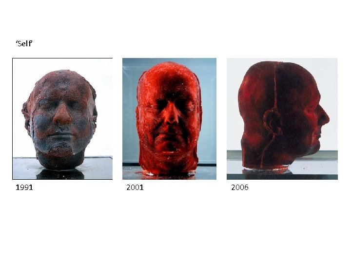 ‘Self’ 1991 2006 ‘Self’ 1991 2006