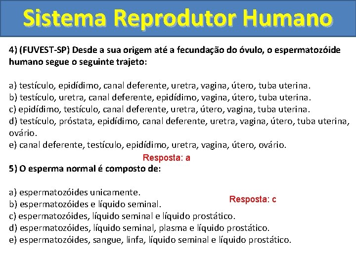 Sistema Reprodutor Humano 4) (FUVEST-SP) Desde a sua origem até a fecundação do óvulo,