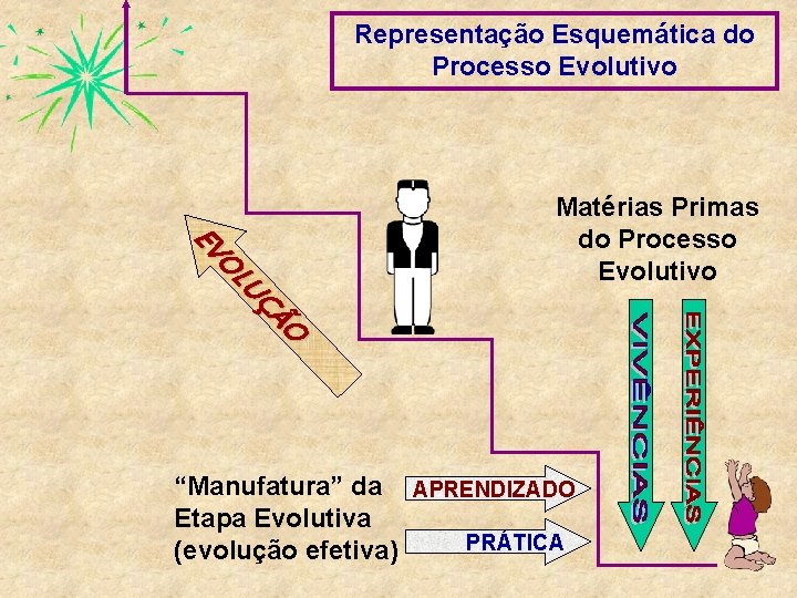 Representação Esquemática do Processo Evolutivo ÃO UÇ OL EV Matérias Primas do Processo Evolutivo