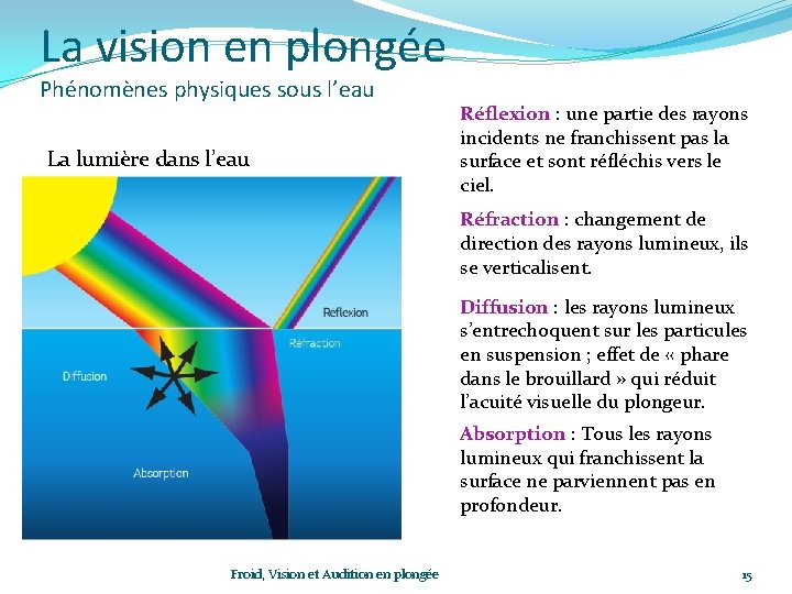 La vision en plongée Phénomènes physiques sous l’eau La lumière dans l’eau Réflexion :