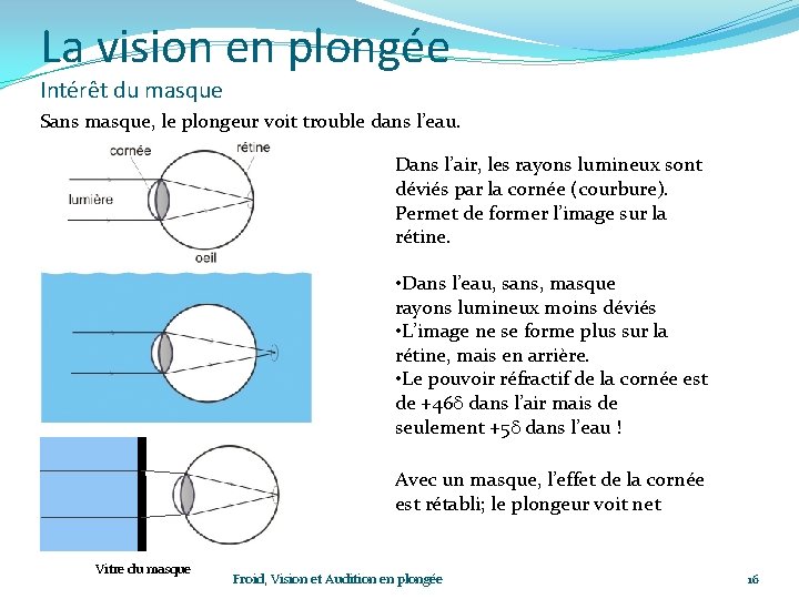 La vision en plongée Intérêt du masque Sans masque, le plongeur voit trouble dans