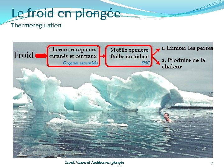 Le froid en plongée Thermorégulation Froid Thermo-récepteurs cutanés et centraux Moëlle épinière Bulbe rachidien