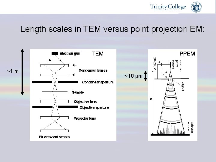 Length scales in TEM versus point projection EM: TEM ~1 m PPEM ~10 µm