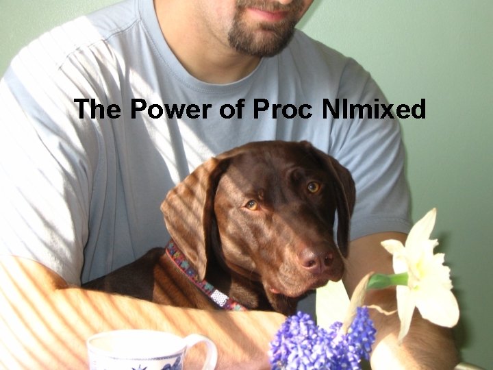 The Power of Proc Nlmixed 