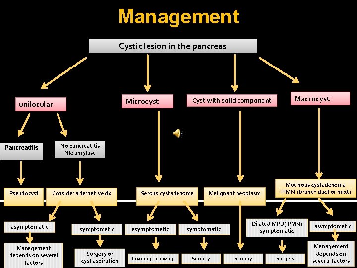 Management Cystic lesion in the pancreas Microcyst unilocular Macrocyst No pancreatitis Nle amylase Pancreatitis