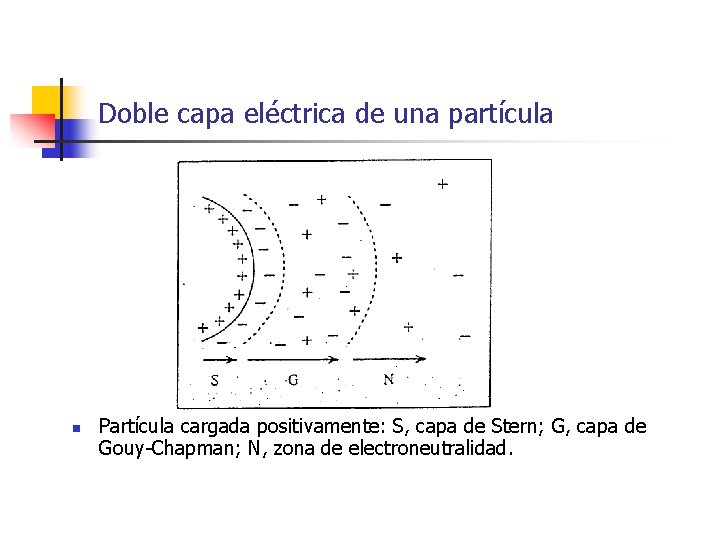 Doble capa eléctrica de una partícula n Partícula cargada positivamente: S, capa de Stern;