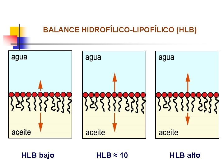 BALANCE HIDROFÍLICO-LIPOFÍLICO (HLB) HLB bajo HLB ≈ 10 HLB alto 