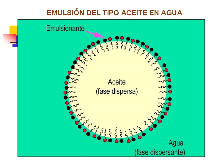 EMULSIÓN DEL TIPO ACEITE EN AGUA 