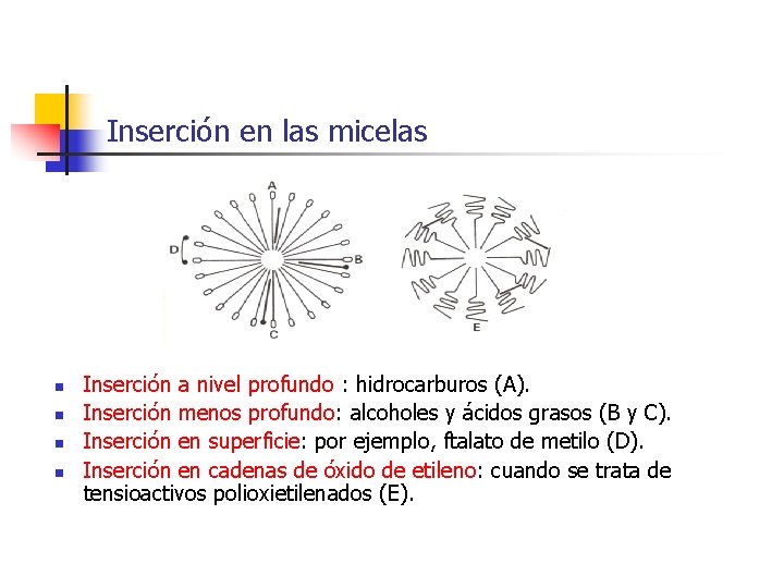 Inserción en las micelas n n Inserción a nivel profundo : hidrocarburos (A). Inserción